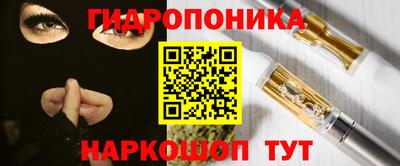 прущие крисы Сланцы