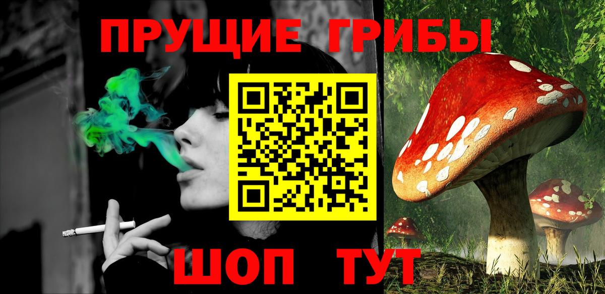 Симферополь  Галлюциногенные грибы GOLDEN TEACHER  Вход с VPN 
